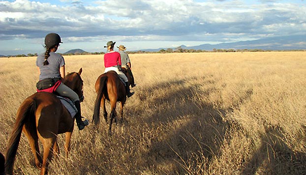 Horse Safari