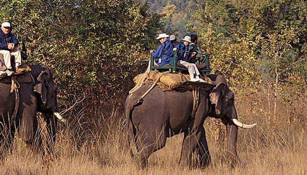 Wildlife in India